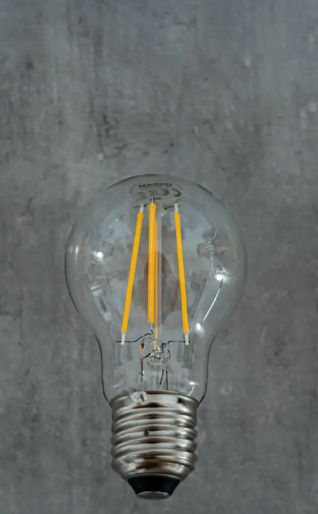 LED Edison bulb